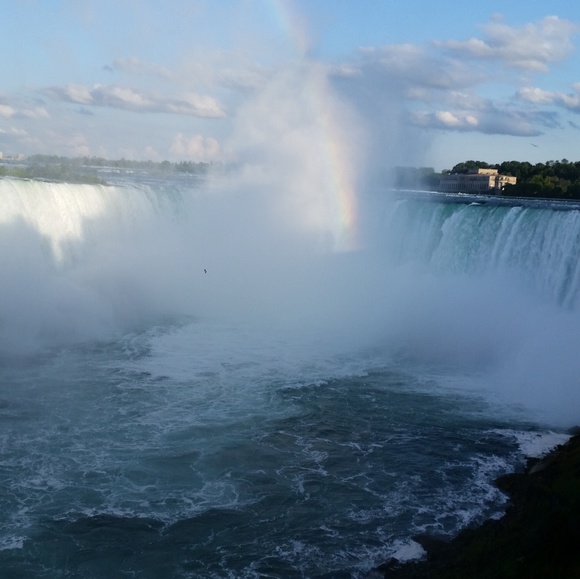 Meet your Posher, Sybil - Picture 2 of 2